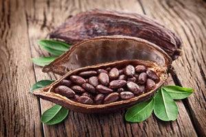 How Chocolate Is Made - From Bean to Bar | Chocolat in Kirkby Lonsdale