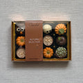 Autumn Selection | Gift Box of 12