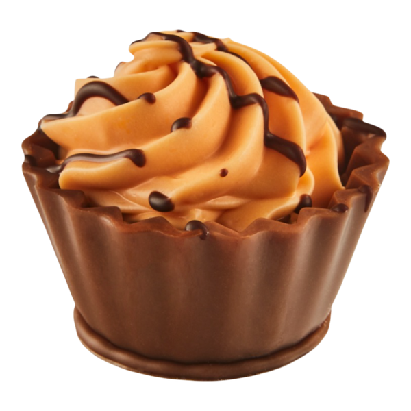 Salted Caramel Cream Cupcake