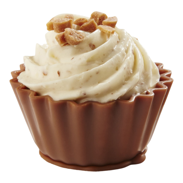 Salted Caramel Cupcake