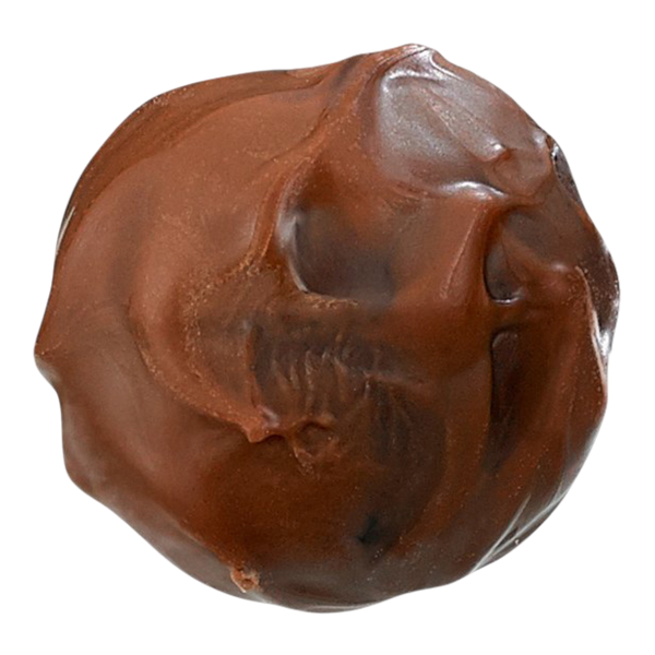 Salted Caramel Truffle