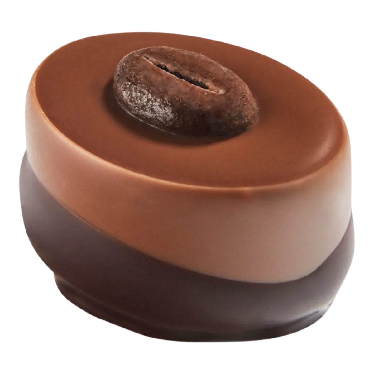 Coffee Chocolate Selection | Gift Box of 18